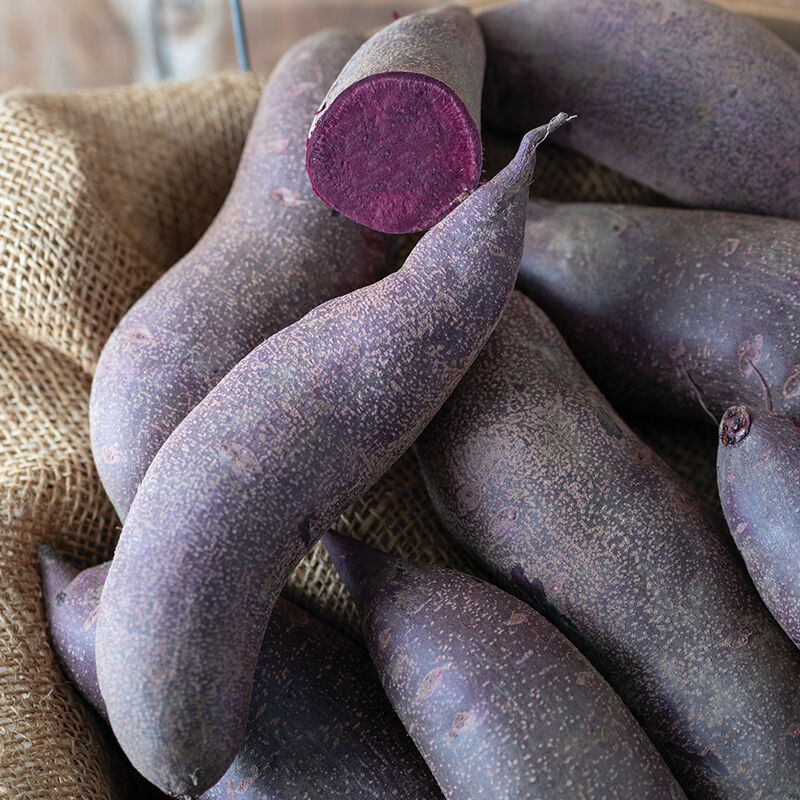 Purple Majesty - Patatas dulces orgánicas