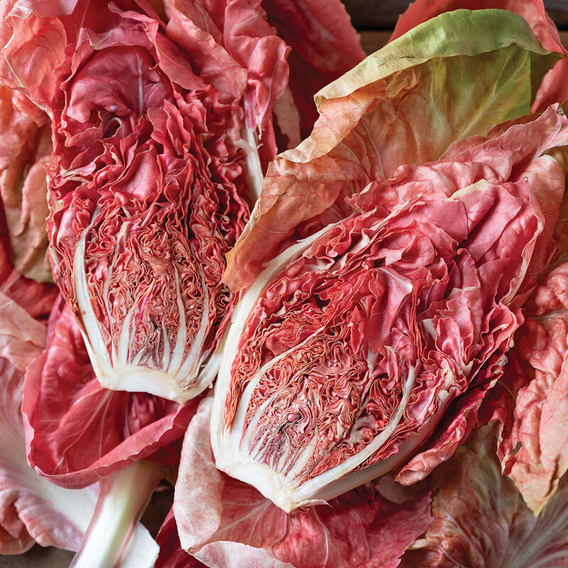 Stella Rosa - Semilla de radicchio