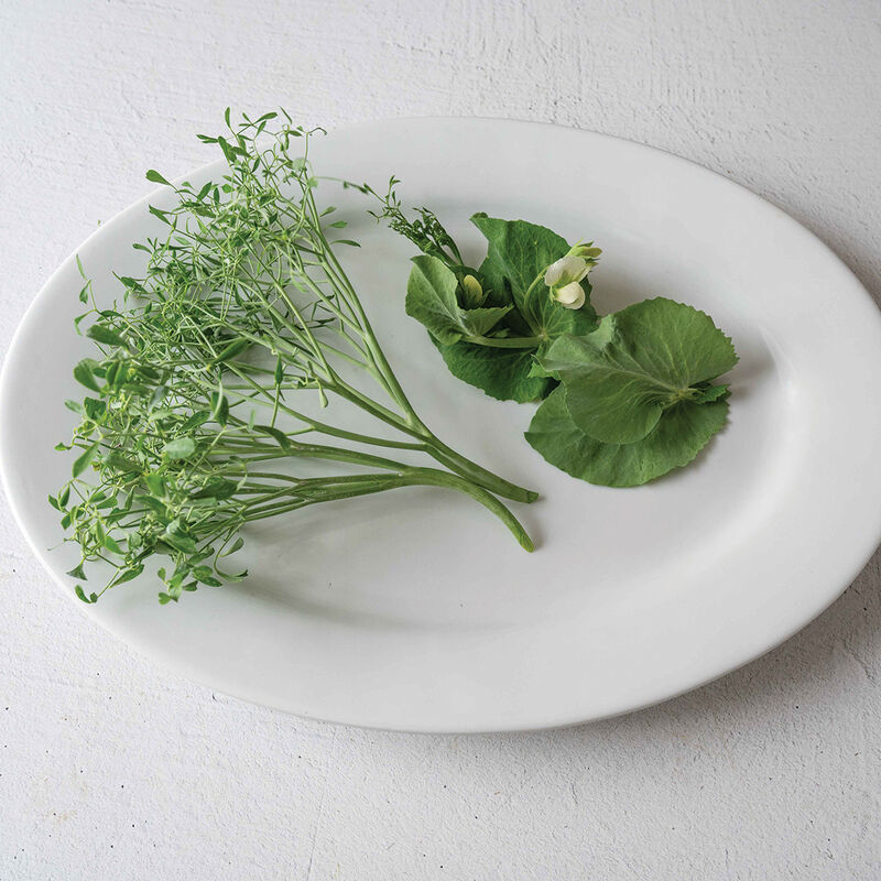 Parsley Pea - Semilla de guisante