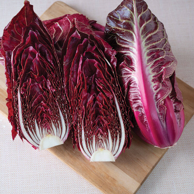 Luna Rossa -Semilla de radicchio