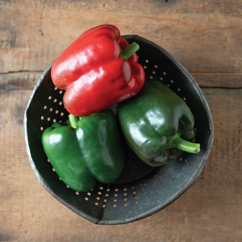 Green Machine- (F1) Semilla de pimiento morrón