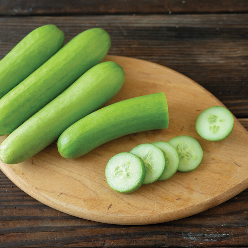 Mojito-Semilla de pepino (F1)