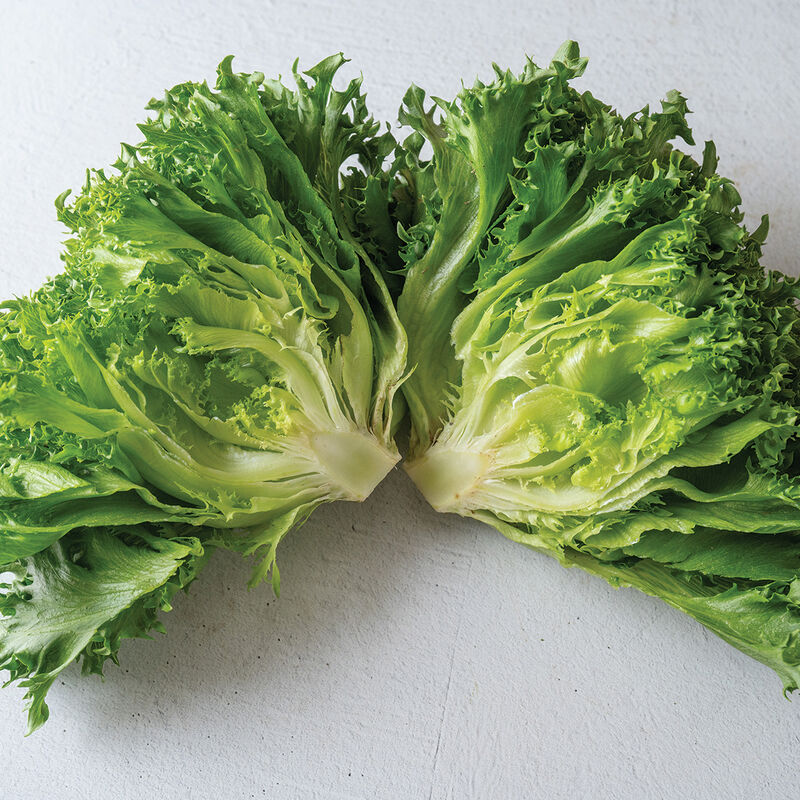 Danstar - Semillas de Lechuga Peletizadas