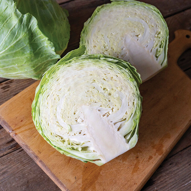 Bronco-Semilla de col