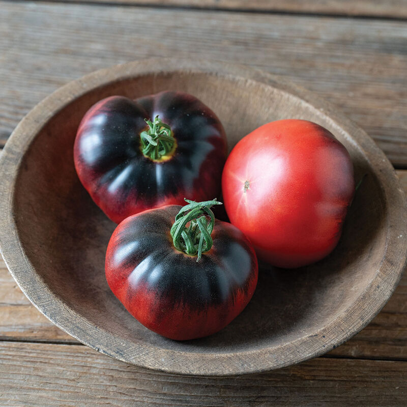 Blue Tonic - Semilla de tomate (F1)