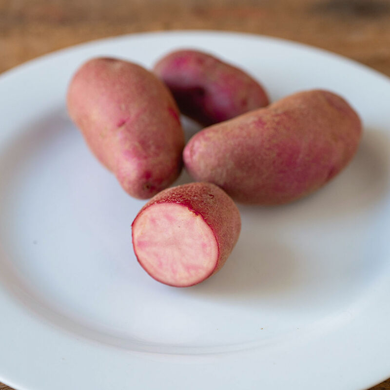 Amarosa- Papas de semilla orgánicas