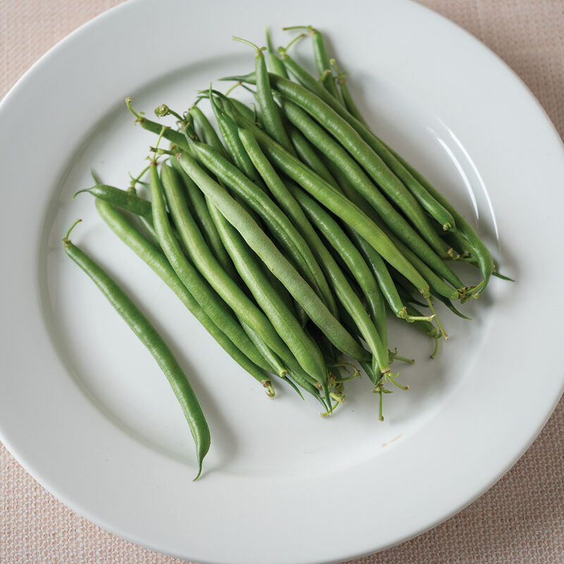 Red Tail -Semilla de frijol orgánico