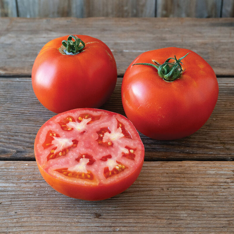 Unity - Semilla de tomate orgánica (F1)
