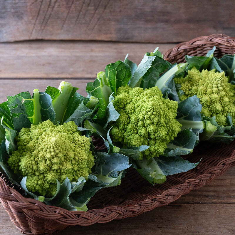 Delaverde- Semilla de coliflor