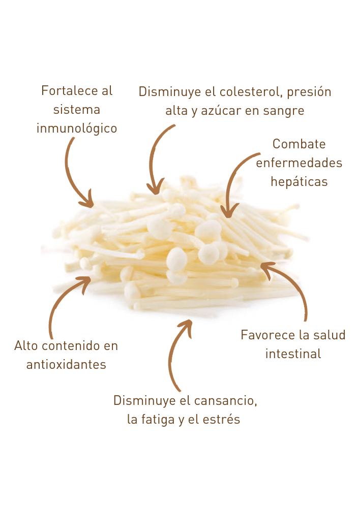 Kit para Cultivo de Hongo Enoki