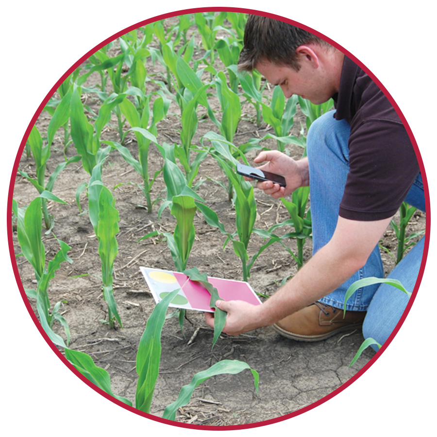 2910B -Tablero GreenIndex+ de FieldScout 