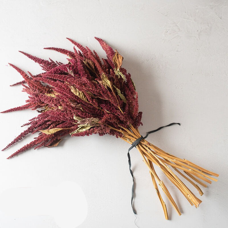 Red Spike - Semillas de Flor Amaranto Rojo