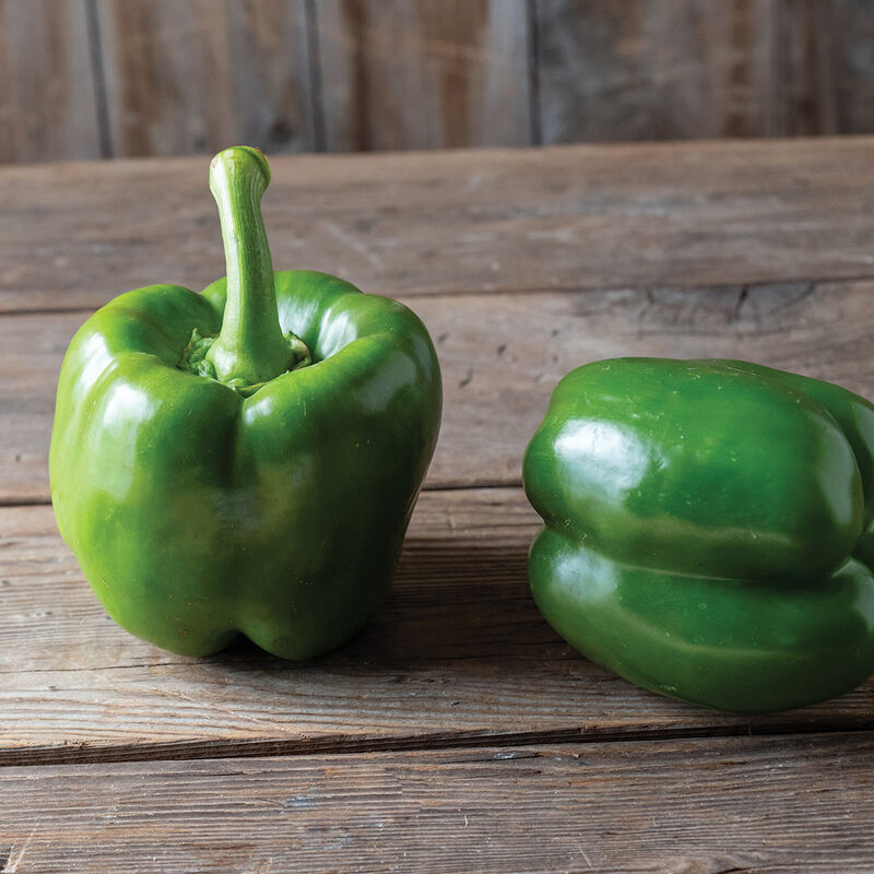 Huntington F1 - Semillas Pimiento morrón dulce