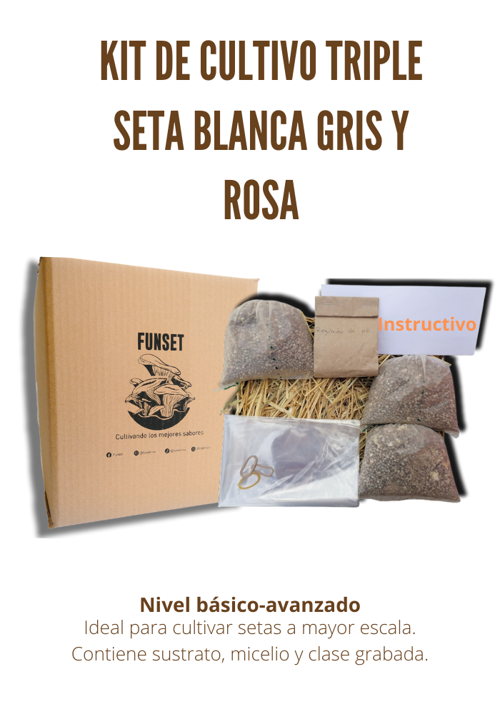Kits Triples para Cultivo de Hongo Seta Orgánicos