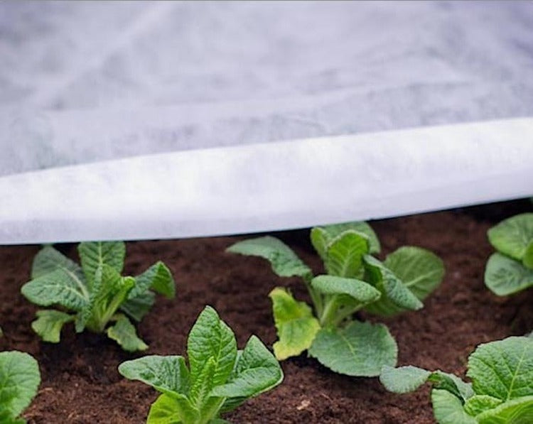 Manto Térmico Protección de cultivos contra heladas 