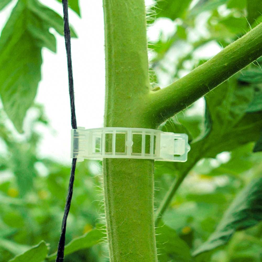 Clips o Anillos de Plástico para Tutoreo