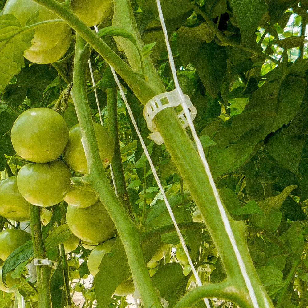 Clips o Anillos de Plástico para Tutoreo