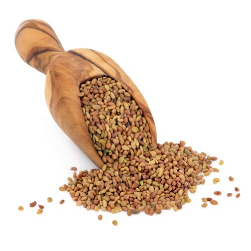 Alfalfa -Semillas para Germinados orgánicos