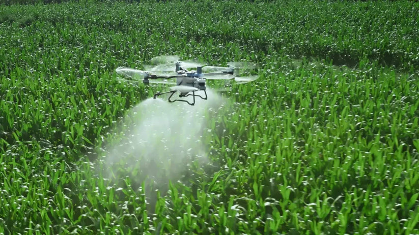 DJI Agras T100 | Drone Agrícola Profesional