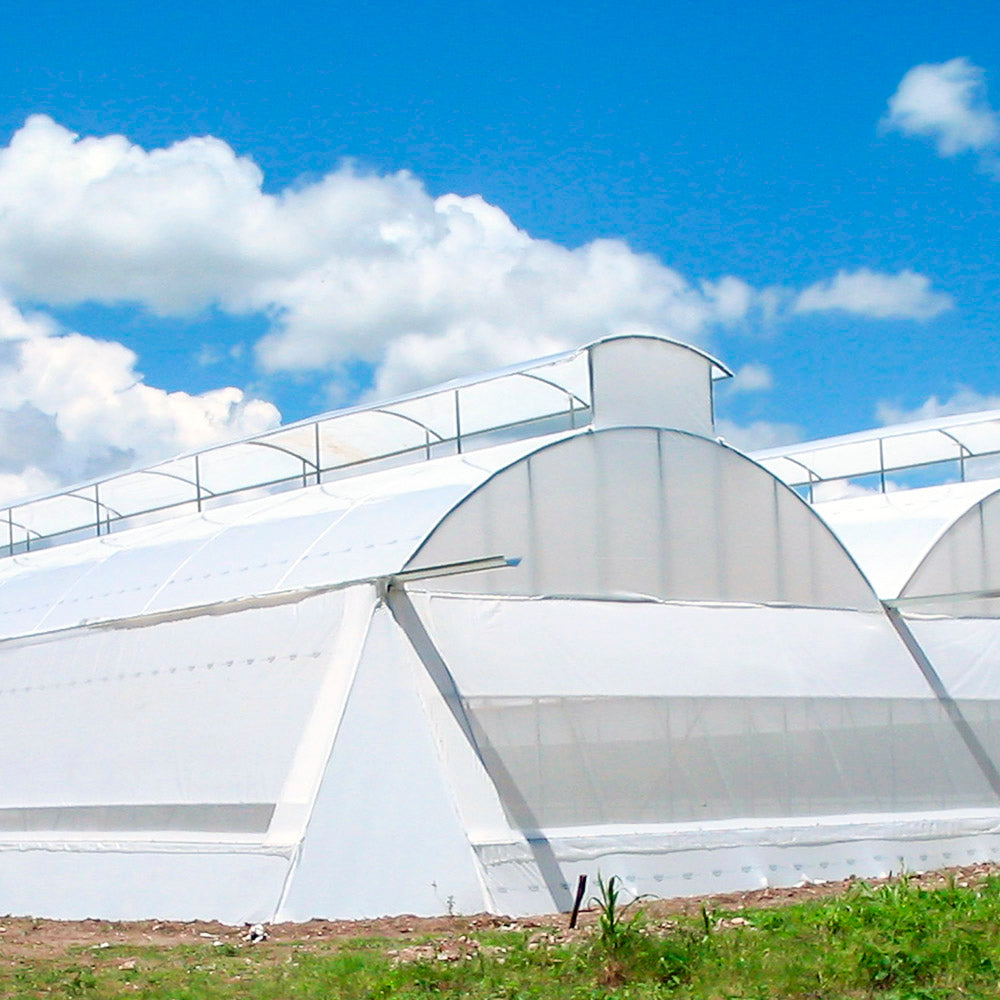 Plástico para invernadero - Iplasagro Honduras - Agroshow