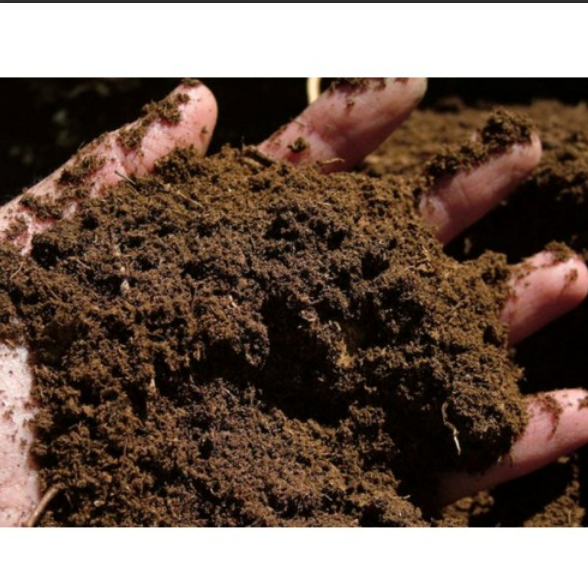 Peat Moss Berger Organico