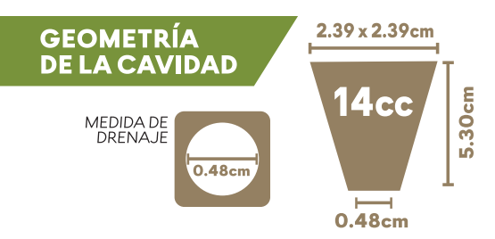 Semillero de Plástico Rígido para hortalizas 242 CV