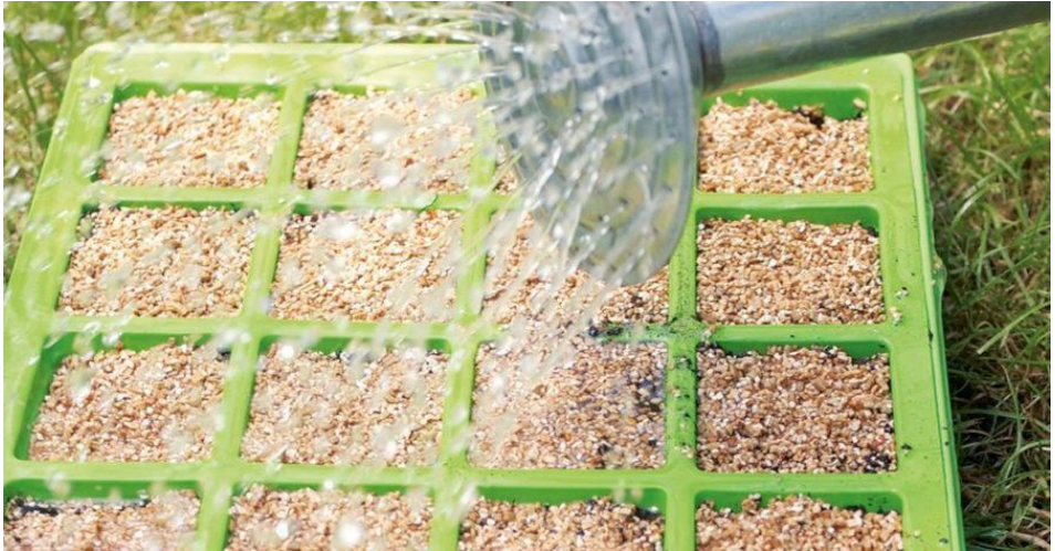 Vermiculita A2 - Palmetto