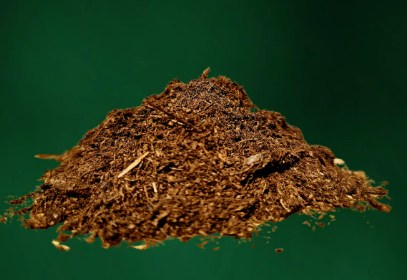 Peat Moss Lambert Black Top 3.8 Ft3-Paca