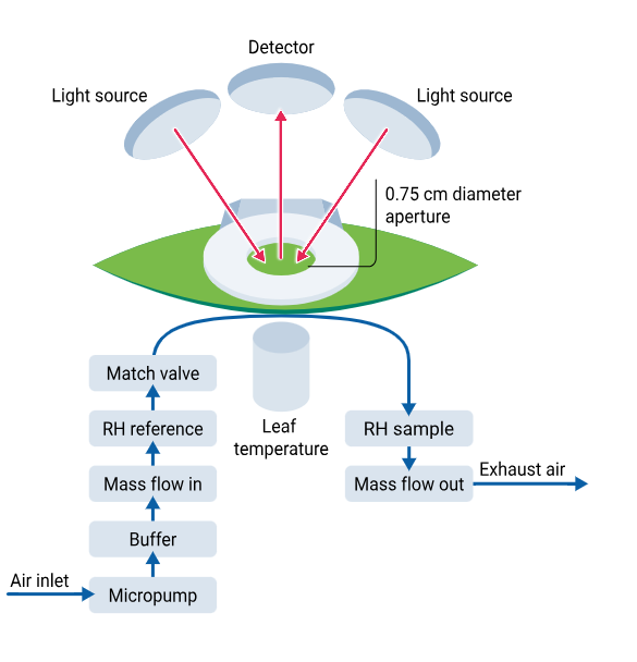 LI-600 Porómetro/ fluorómetro