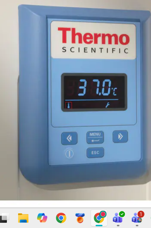 Incubadora Microbiológica Heratherm  Precisión Térmica para Laboratorio