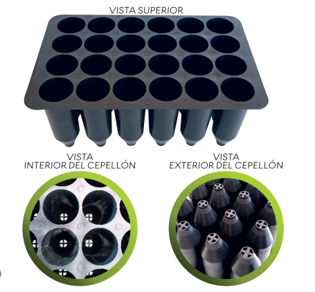 Semillero o Charola Forestal 24 Cavidades (265 cc) para Germinacion