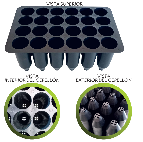 Charolas Forestales para Germinación de 24 Cavidades