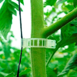 Clip Tomatero Klumex – Anilla de Tutoreo Agrícola 23 mm
