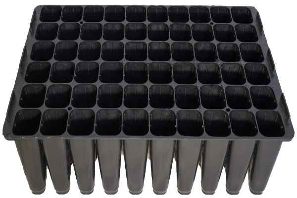 Charolas Forestales para Germinación de 60 Cavidades