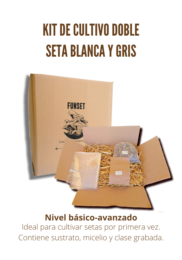 Kits Dobles para Cultivo de Hongo Seta Orgánicos