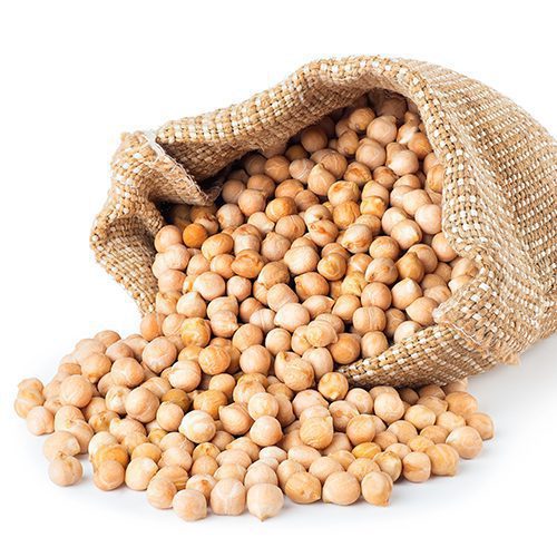 Garbanzo - Semillas de brotes orgánicos
