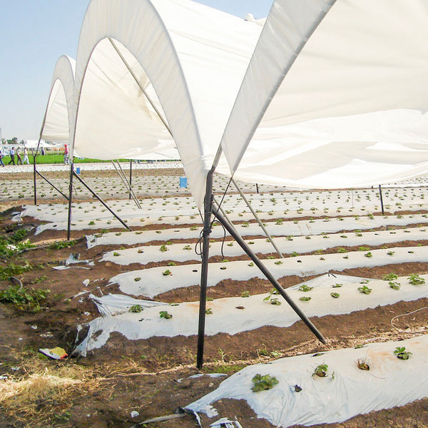 CUERDA MACROTÚNEL 7MM - ROLLO 300M - Sistemas Hortícolas Almería