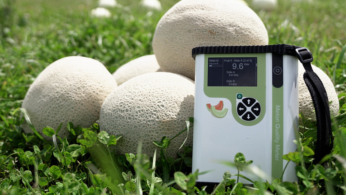 Medidor de Materia Seca y Calidad de Melón F-751