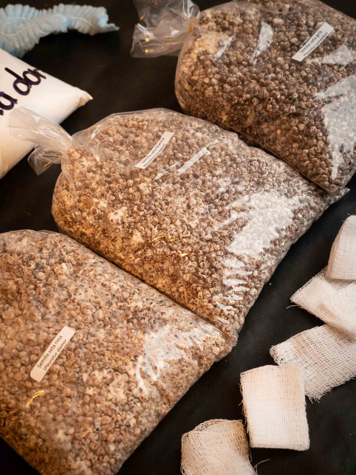 Kit Mixto para Cultivo de Seta Blanca/ Gris/ Rosa