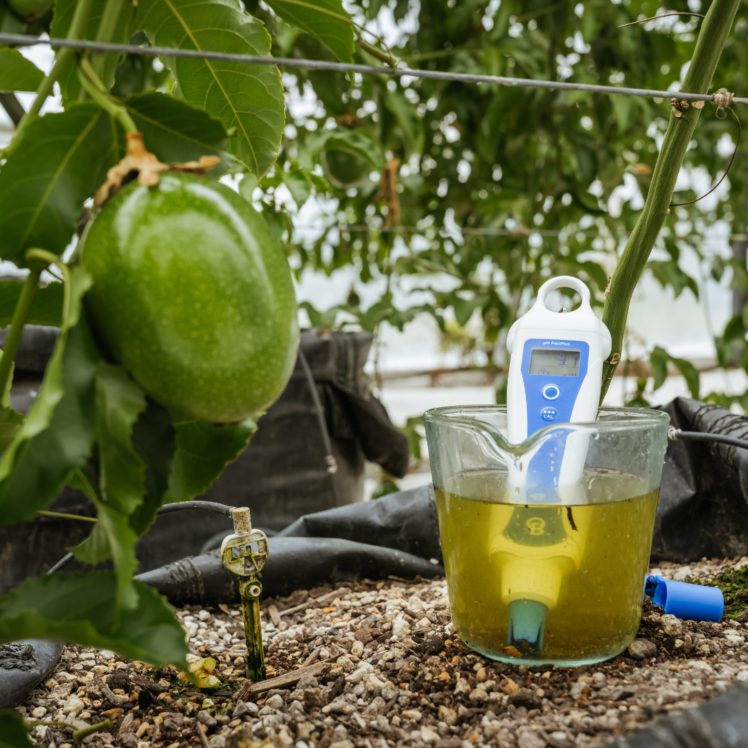 Bluelab pH PenPlus – Medidor Digital de pH y Temperatura