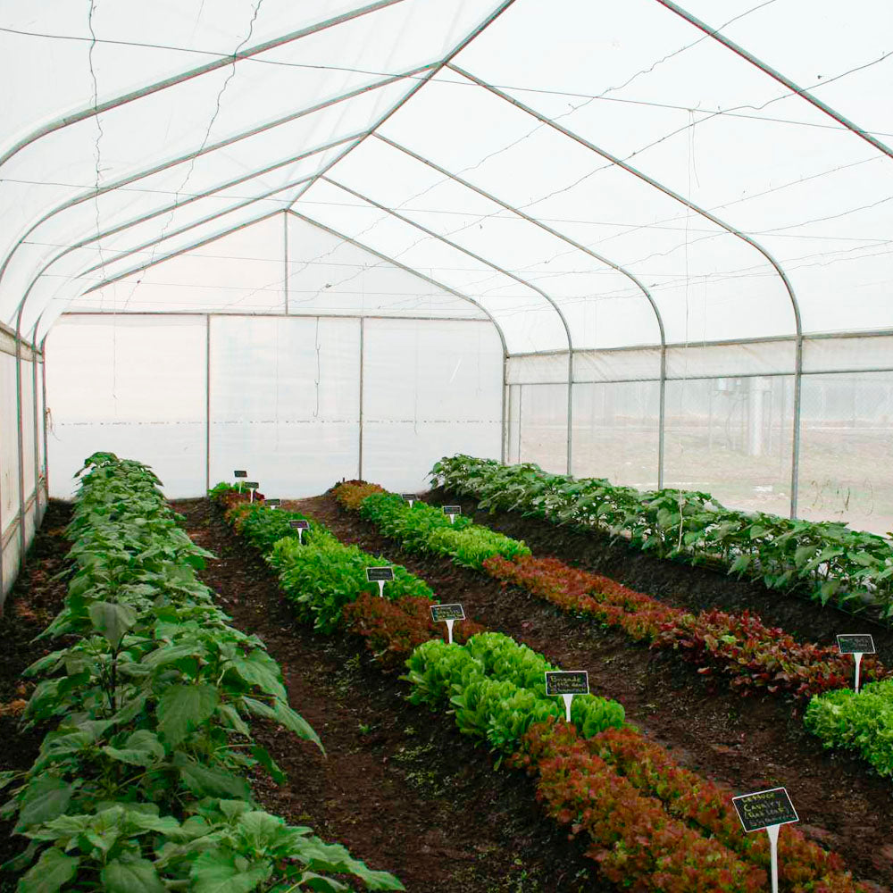 Plástico Térmico para Invernadero