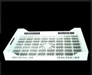 Caja de Plástico 8 para Sector Agrícola 10 kg