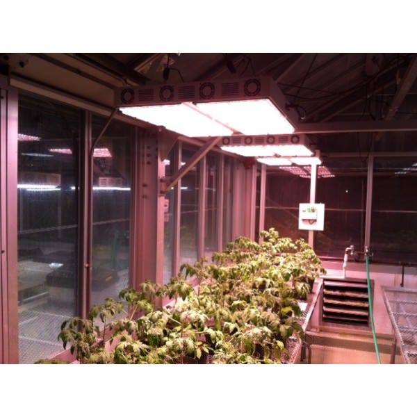 Apache Tech AT600 - Luces LED de Cultivo Blancas y Rojas