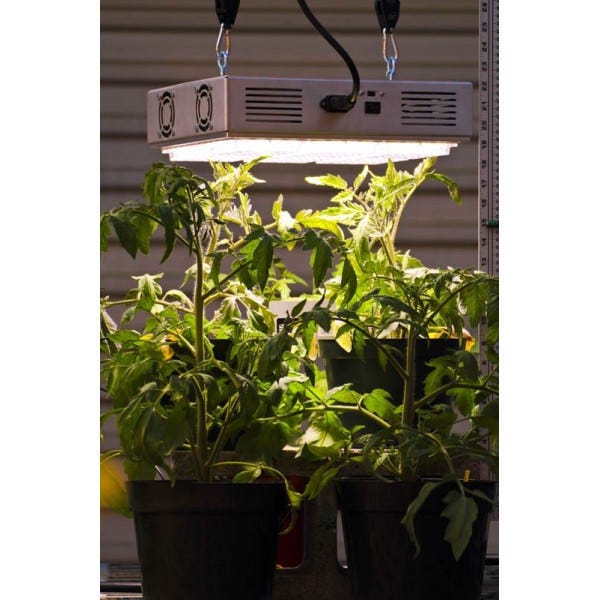 Apache Tech AT200 - Luces LED Blanco/Rojo 3:2