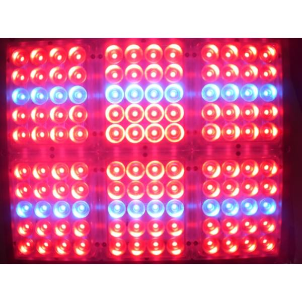 Luces Led Rojas Apache Tech - Luces LED Rojas y Azules - HYDROCULTURA