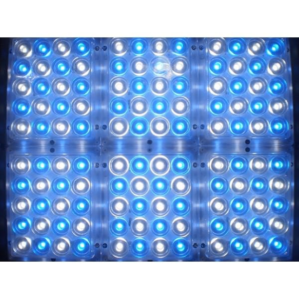 Apache Tech - Luces LED Blancas y Azules