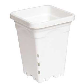 Maceta Cuadrada Blanca 5″ × 5″ – 7″
