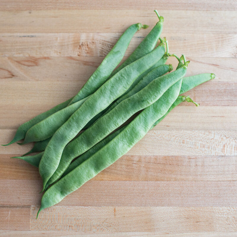 Jumbo - Semillas Orgánicas de Frijol