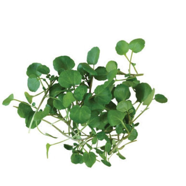 Watercress - Semillas de Berros