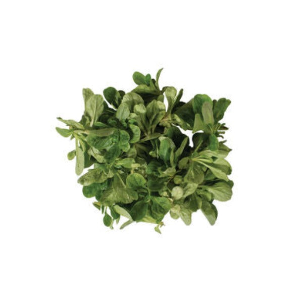 Vit - Semilla de Hoja Verde de Mâche